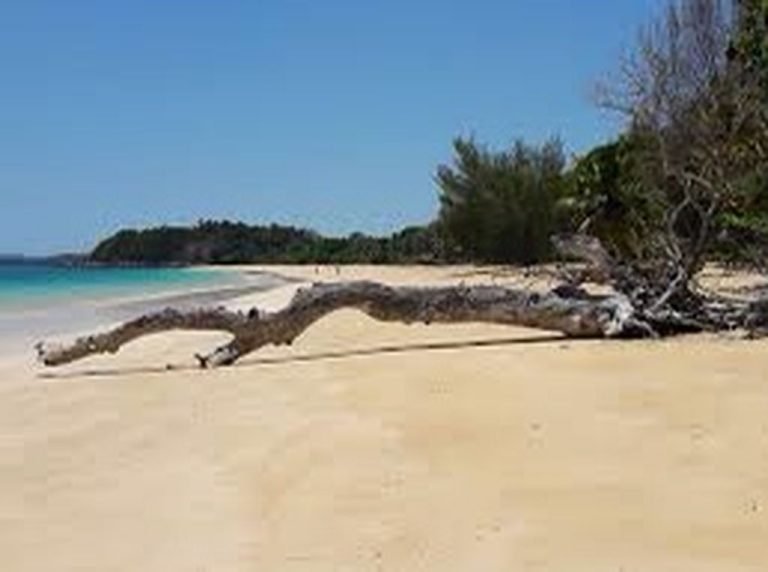darnoe-tours-mada-excursions-circuits-p-25